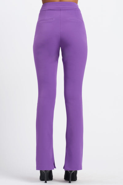 Purple Organza Pant